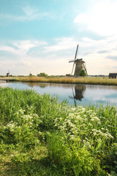 Similar image 11495850