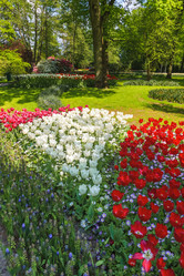 Similar image 11495875