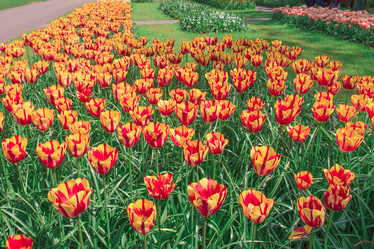 Similar image 11495877