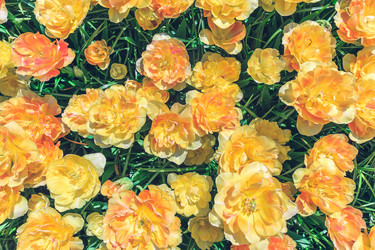 Similar image 11495878