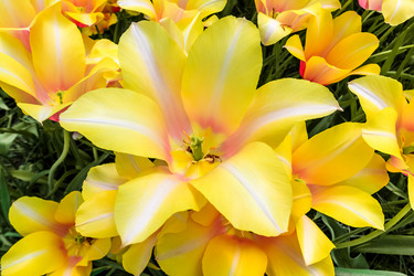 Similar image 11495865