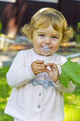 Similar image 11497357