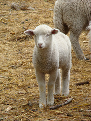 Similar image 11495607