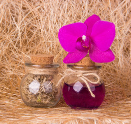 Similar image 11495701