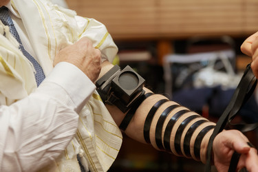 Similar image 11495919