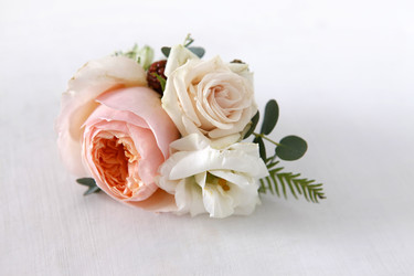 Similar image 11496946