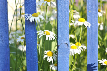 Similar image 11495634