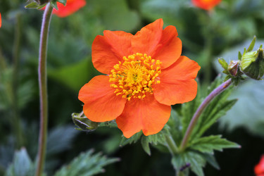 Similar image 11496531