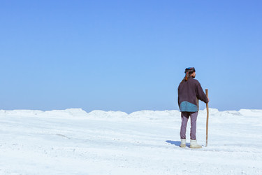 Similar image 11495681