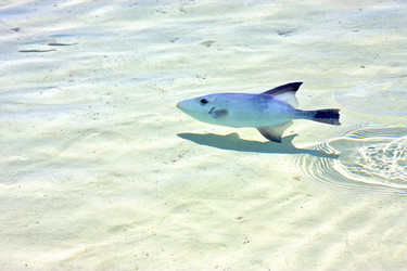 Similar image 11497005