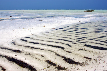 Similar image 11497010