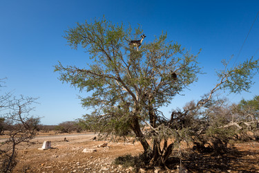 Similar image 11496622