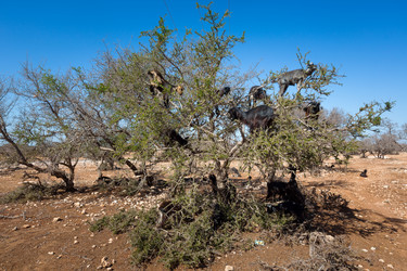 Similar image 11496623