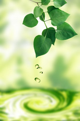 Similar image 11496598