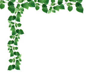 Similar image 11496599