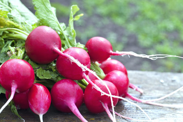 Similar image 11496528