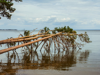 Similar image 11496546