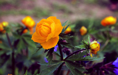 Similar image 11496567