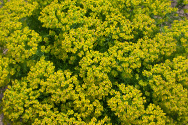 Similar image 11496568