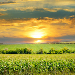 Similar image 11500390