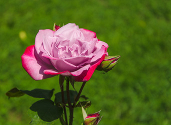 Similar image 11497262