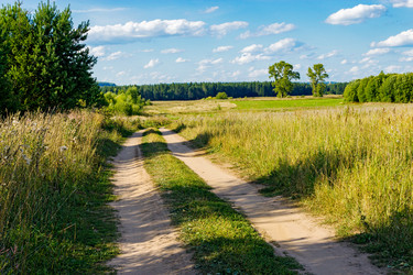 Similar image 11498023