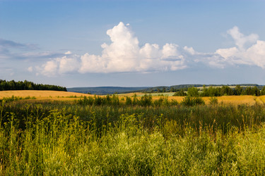 Similar image 11498024