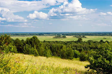 Similar image 11498025