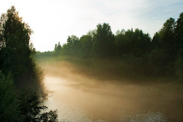 Similar image 11498026