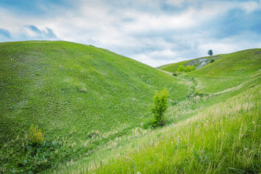 Similar image 11498028