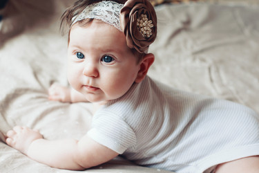 Similar image 11497486