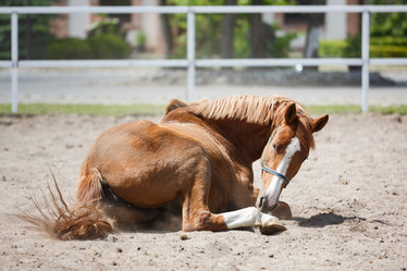 Similar image 11500398