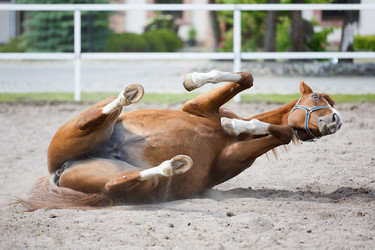 Similar image 11500399