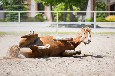 Similar image 11500400