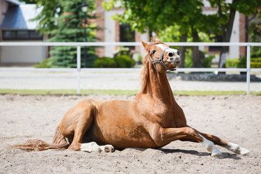 Similar image 11500401