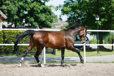 Similar image 11500408