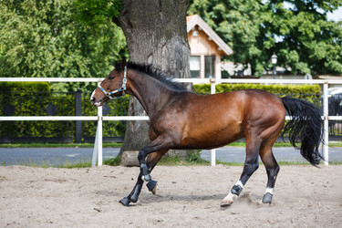 Similar image 11500409