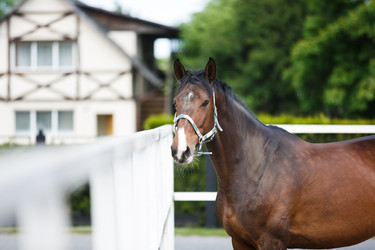 Similar image 11500410