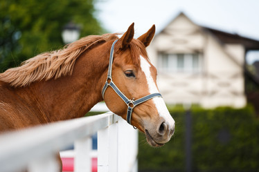 Similar image 11500411