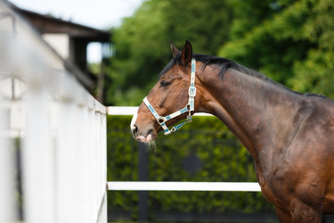 Similar image 11500412