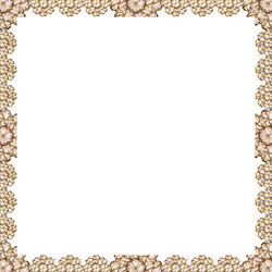 Similar image 11498062