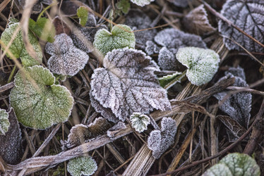 Similar image 11497822