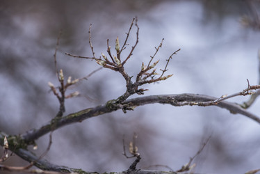 Similar image 11497823