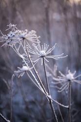 Similar image 11497824