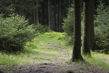 Similar image 11497825