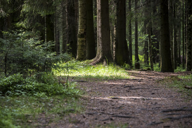 Similar image 11497826