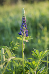 Similar image 11497827