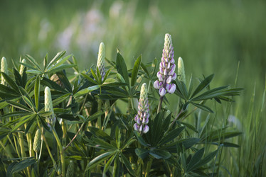 Similar image 11497828