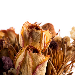 Similar image 11502967