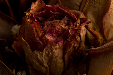 Similar image 11502969